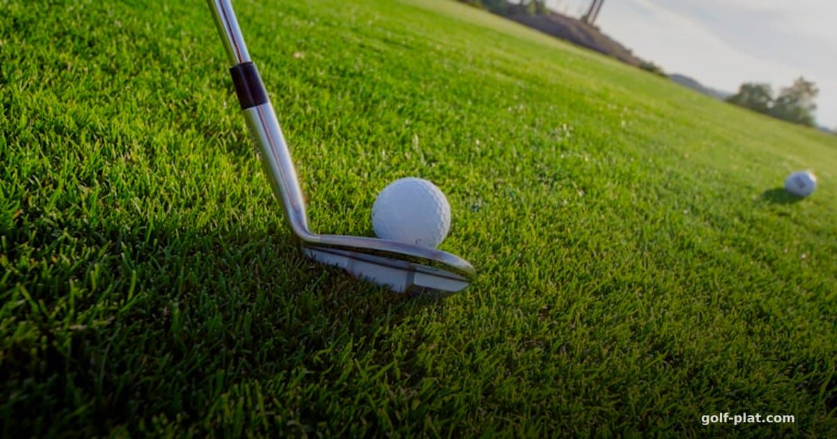 ゴルフラウンドの食事・栄養補給ガイド【ハーフで失速しない体力・スコア管理術2026】 アイキャッチ画像