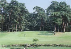 大宮ゴルフコース ゴルフ場 コース写真