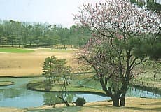 太平洋クラブグループ　金乃台カントリークラブ ゴルフ場 コース写真