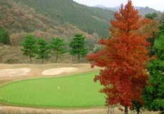 栃木ノースヒルズゴルフコース ゴルフ場 コース写真