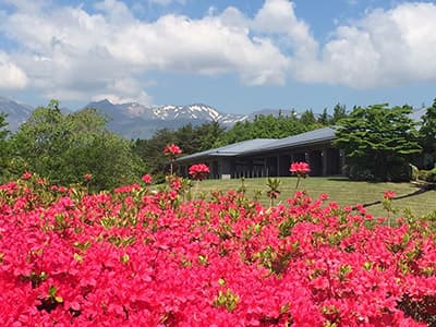 那須ちふり湖カントリークラブ ゴルフ場 コース写真