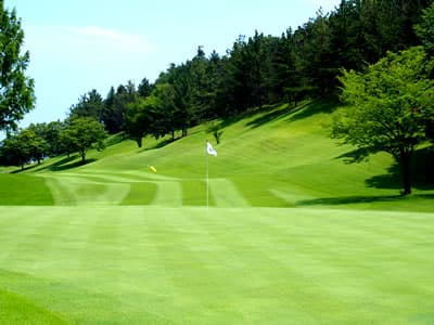 小幡郷ゴルフ倶楽部 ゴルフ場 コース写真