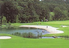 新武蔵丘ゴルフコース ゴルフ場 コース写真