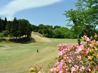 長瀞カントリークラブ ゴルフ場 コース写真