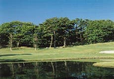 武蔵松山カントリークラブ ゴルフ場 コース写真