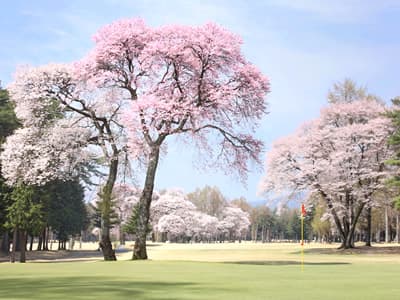 信州伊那国際ゴルフクラブ ゴルフ場 コース写真