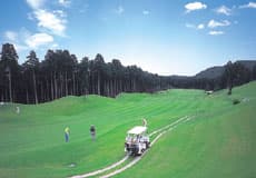中伊豆グリーンクラブ ゴルフ場 コース写真