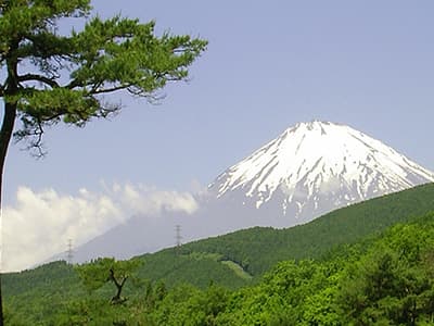 富士小山ゴルフクラブ ゴルフ場 コース写真