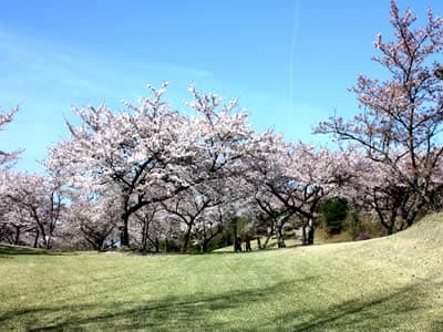 宮島志和カンツリー倶楽部 ゴルフ場 コース写真