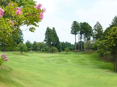 ダイナミックゴルフ成田 ゴルフ場 コース写真
