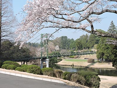 中山カントリークラブ ゴルフ場 コース写真