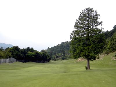 西条ゴルフ倶楽部 ゴルフ場 コース写真
