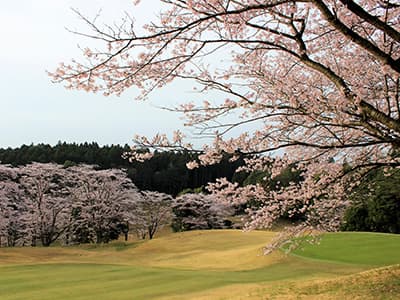 桜の宮ゴルフ倶楽部 ゴルフ場 コース写真