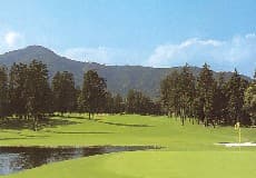 千代田カントリークラブ（茨城県）【ＧＲＡＮＤ ＰＧＭ】 ゴルフ場 コース写真