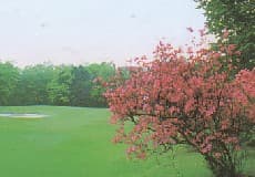 小山ゴルフクラブ ゴルフ場 コース写真