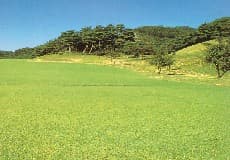 唐沢ゴルフ倶楽部　唐沢コース ゴルフ場 コース写真