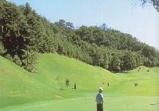 唐沢ゴルフ倶楽部　三好コース ゴルフ場 コース写真