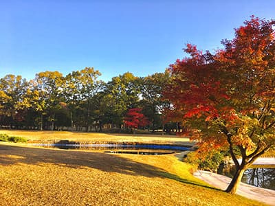 塩原カントリークラブ ゴルフ場 コース写真