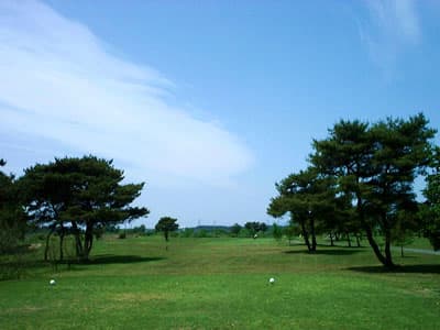 栃木県民ゴルフ場　とちまるゴルフクラブ ゴルフ場 コース写真