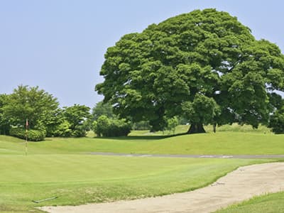もおか鬼怒公園ゴルフ倶楽部 いちごゴルフクラブ ゴルフ場 コース写真
