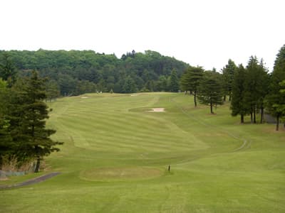 ロイヤルカントリークラブ ゴルフ場 コース写真