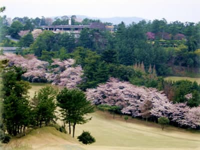 葵カントリークラブ ゴルフ場 コース写真