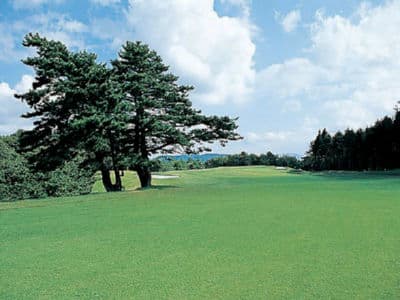 メナードカントリークラブ青山コース ゴルフ場 コース写真
